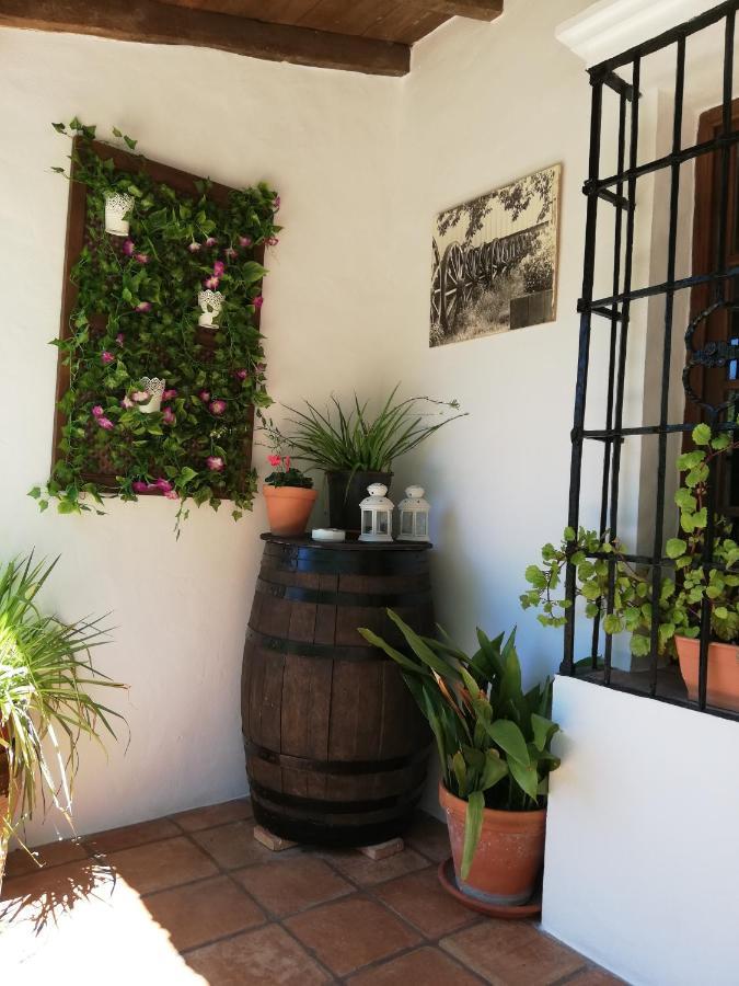 Casa Rural La Maquinilla Grazalema Exteriör bild