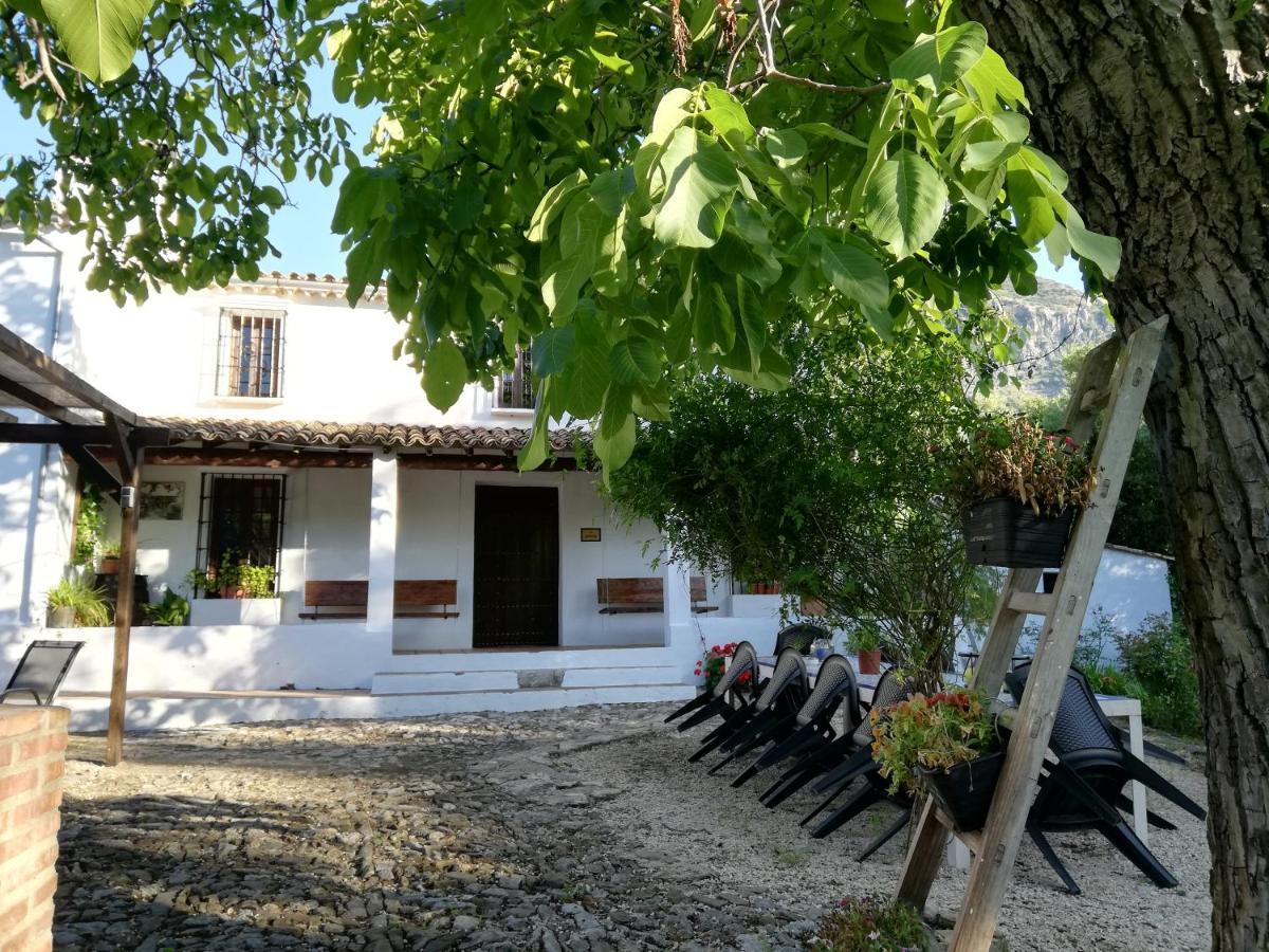Casa Rural La Maquinilla Grazalema Exteriör bild