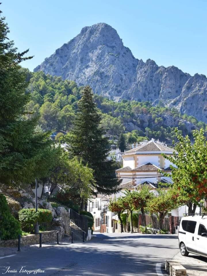 Casa Rural La Maquinilla Grazalema Exteriör bild
