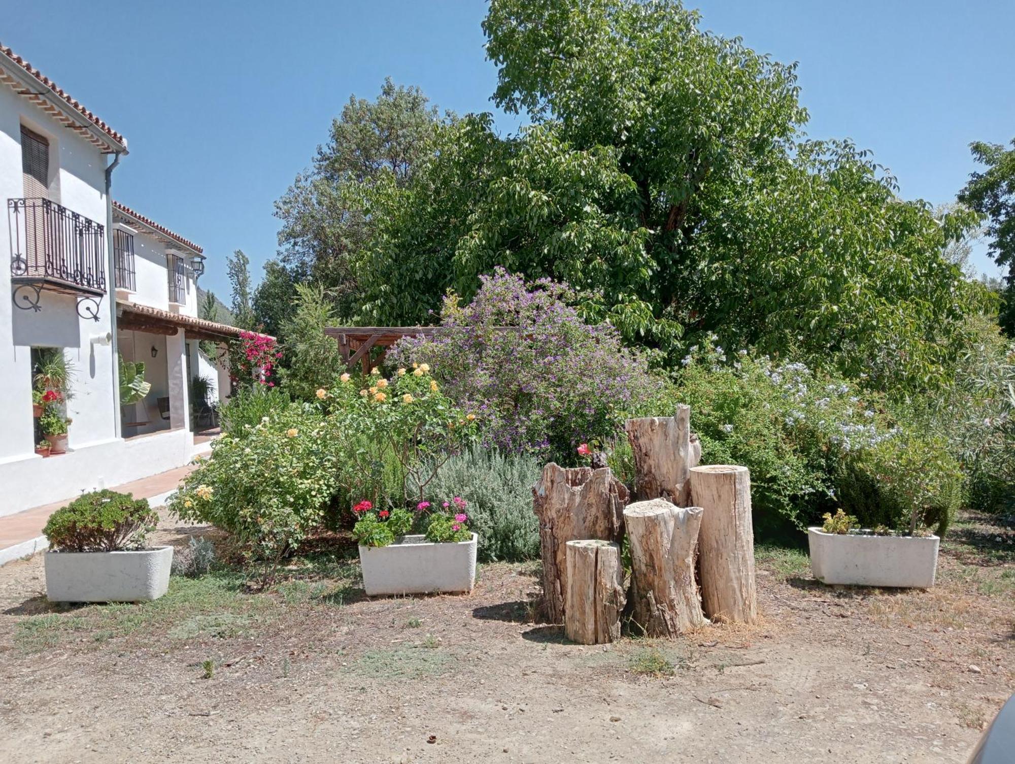 Casa Rural La Maquinilla Grazalema Exteriör bild