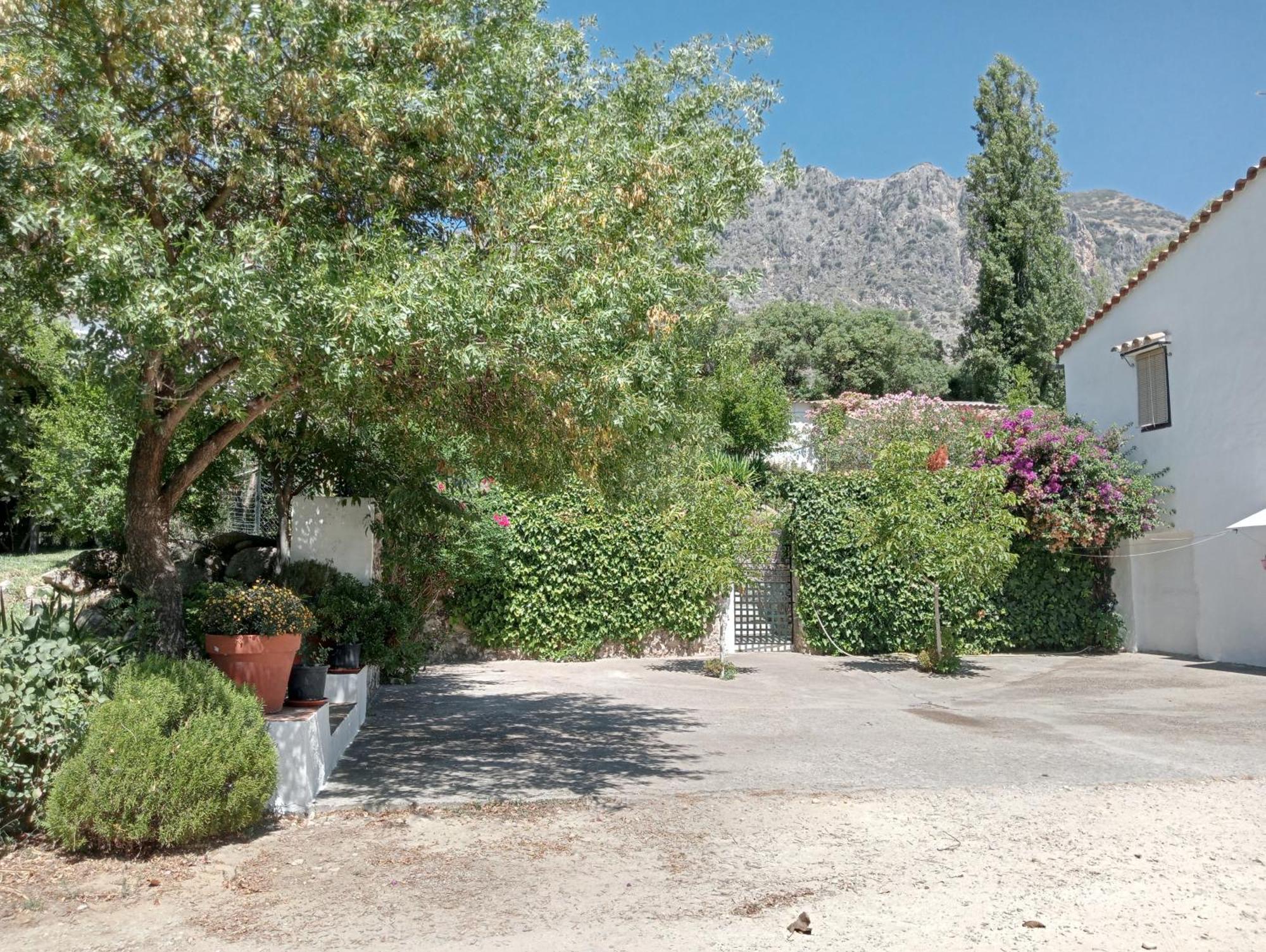 Casa Rural La Maquinilla Grazalema Exteriör bild