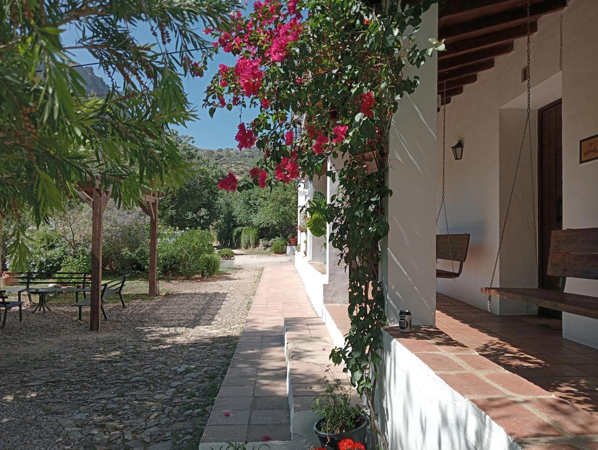 Casa Rural La Maquinilla Grazalema Exteriör bild