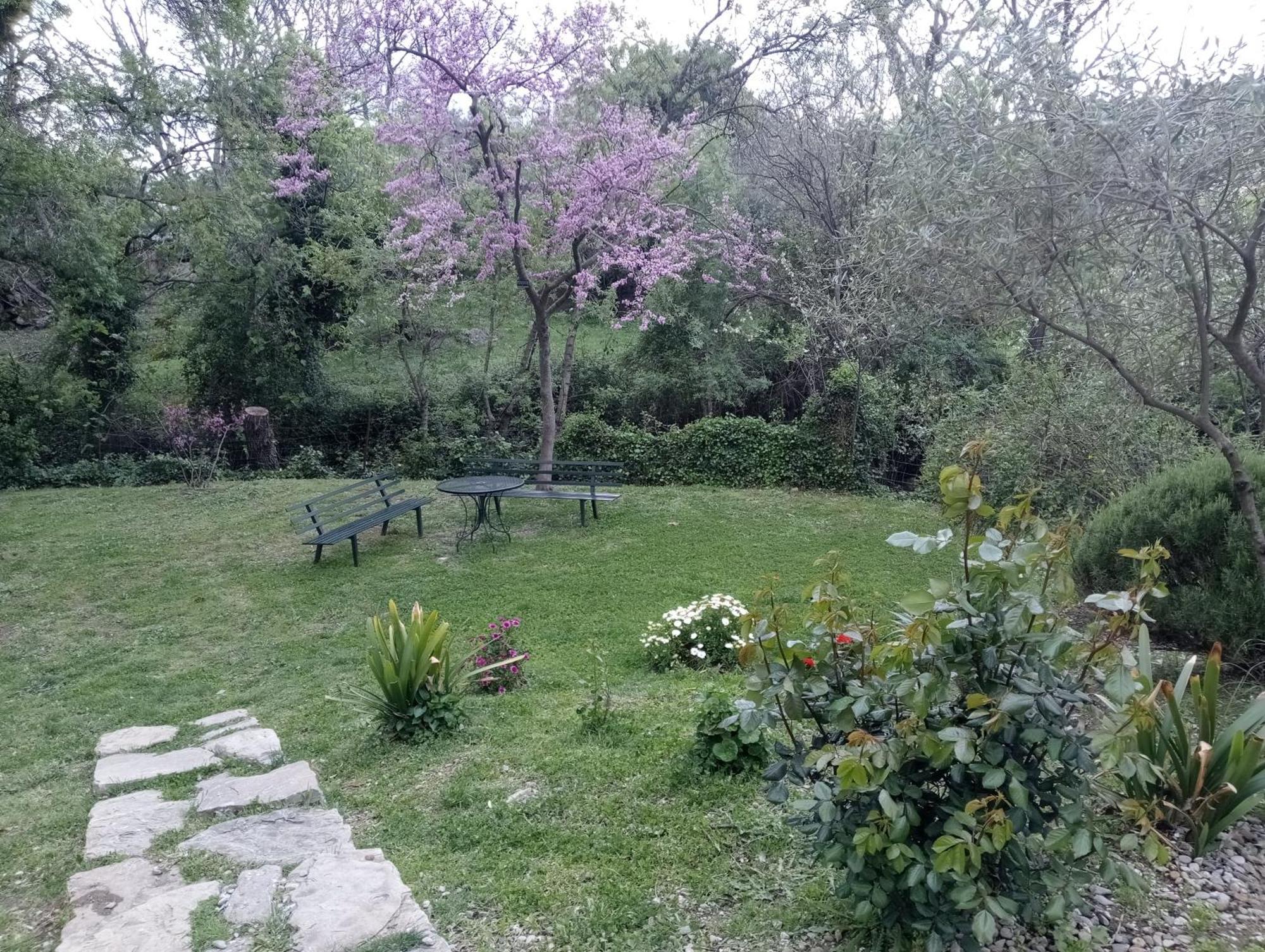 Casa Rural La Maquinilla Grazalema Exteriör bild