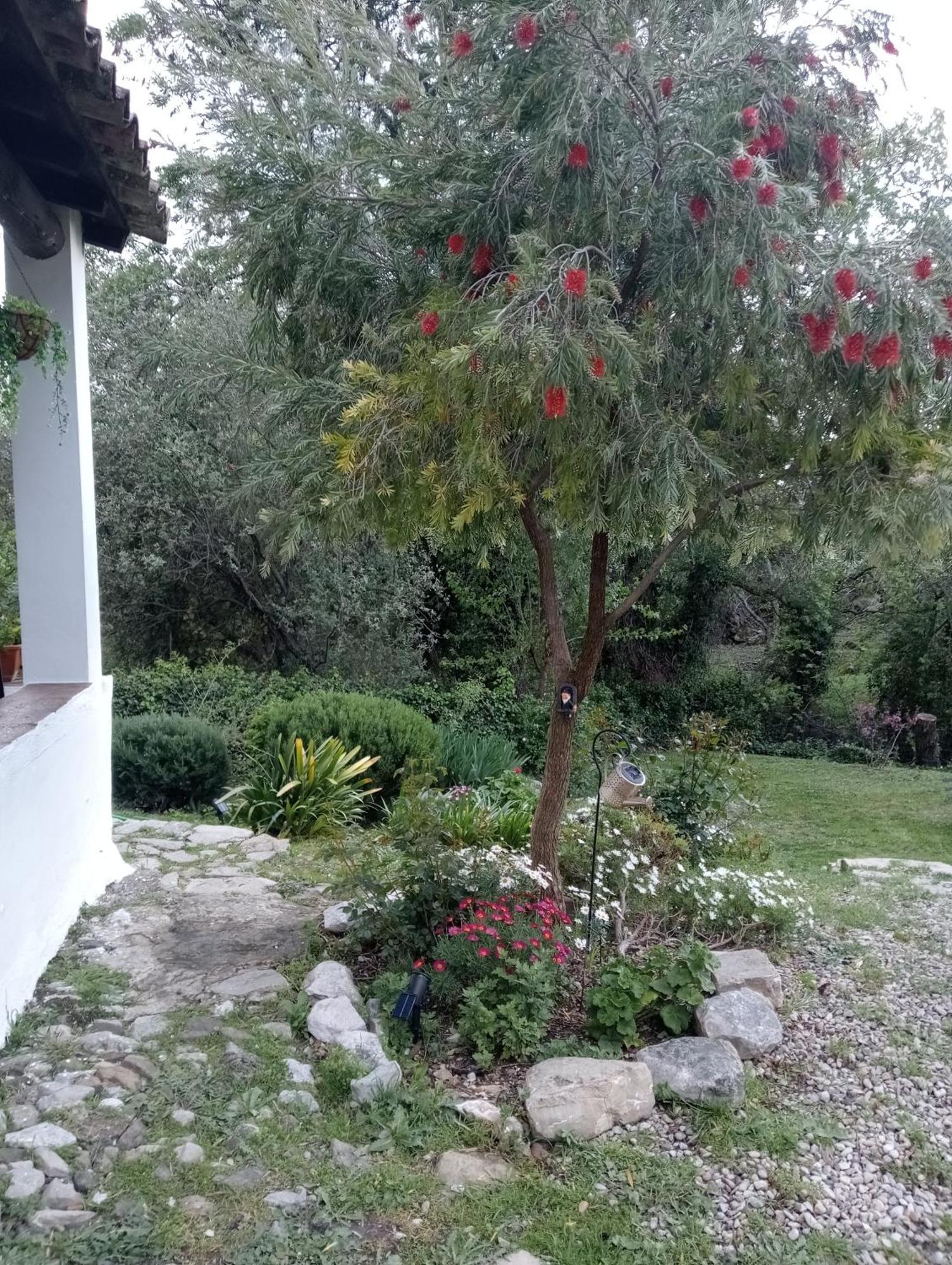 Casa Rural La Maquinilla Grazalema Exteriör bild