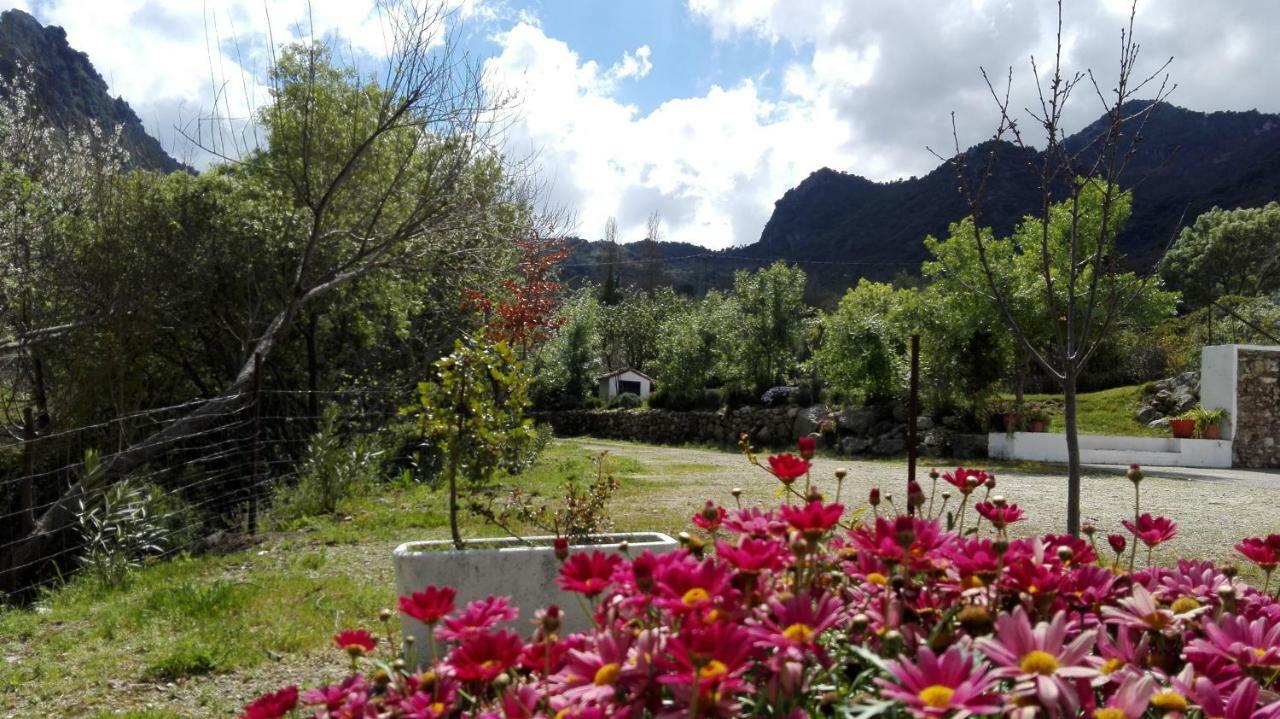 Casa Rural La Maquinilla Grazalema Exteriör bild