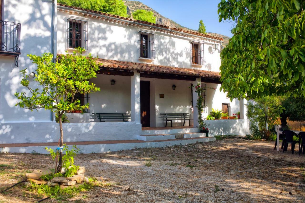 Casa Rural La Maquinilla Grazalema Exteriör bild