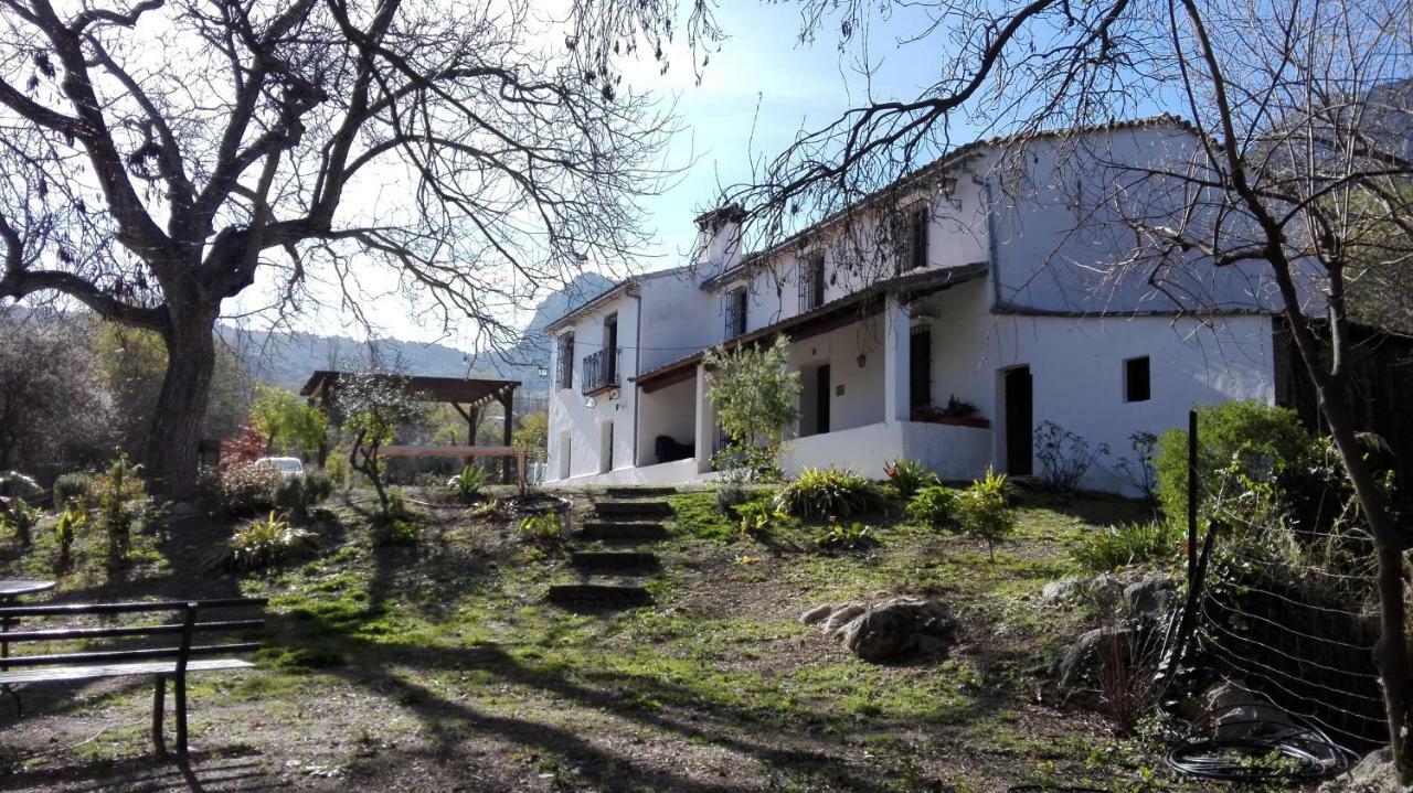 Casa Rural La Maquinilla Grazalema Exteriör bild