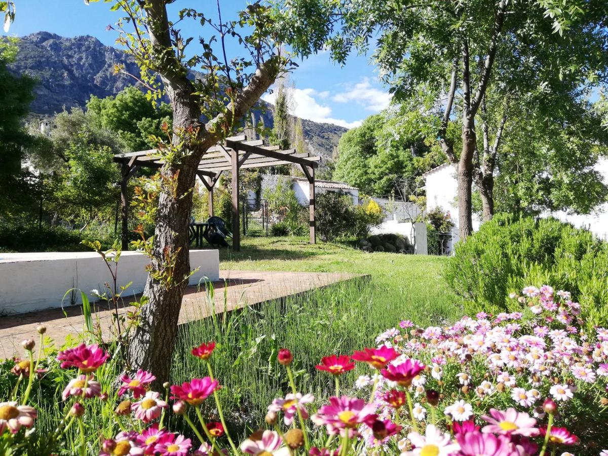 Casa Rural La Maquinilla Grazalema Exteriör bild